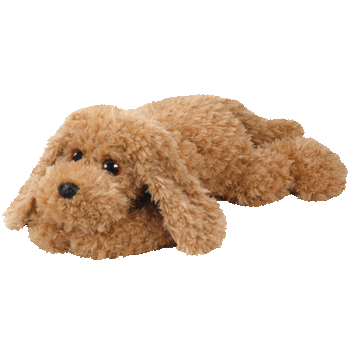 baylee ty dog