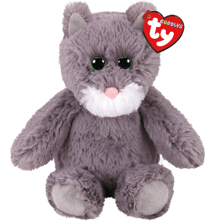 grey cat teddy